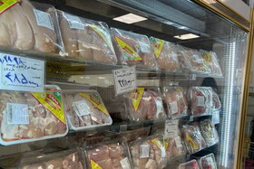 فروشندگان مرغ کیلویی ۵۳ هزار تومانی چه کسانی هستند؟