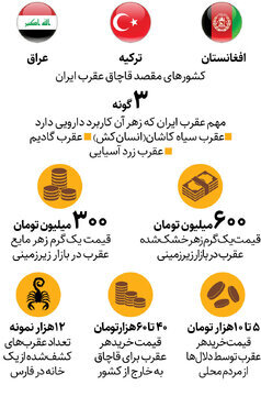 بازارهای زیرزمینی خرید و فروش عقرب در ایران/ عقرب‌ها به کجا قاچاق می‌شوند؟